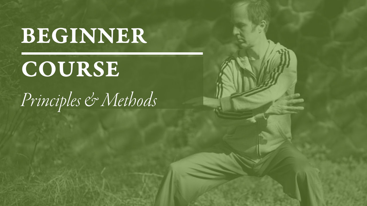 Taiji (Taichi) Baisc Class - Level 1