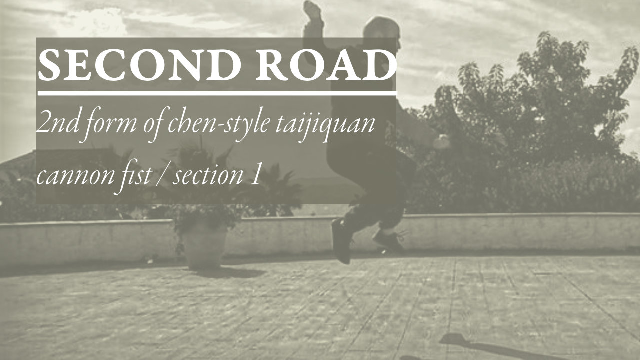 Chen Family Taijiquan Tai-Chi Second Road Erlu Cannon Fist