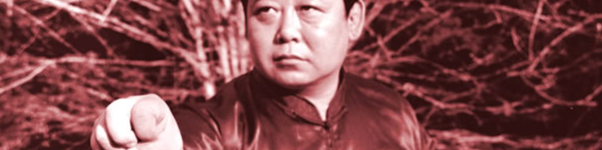 Chen Yu Taijiquan